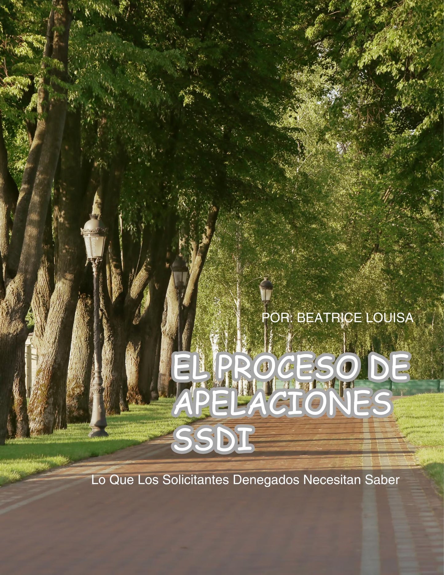 Guía del Proceso de Apelación del SSDI