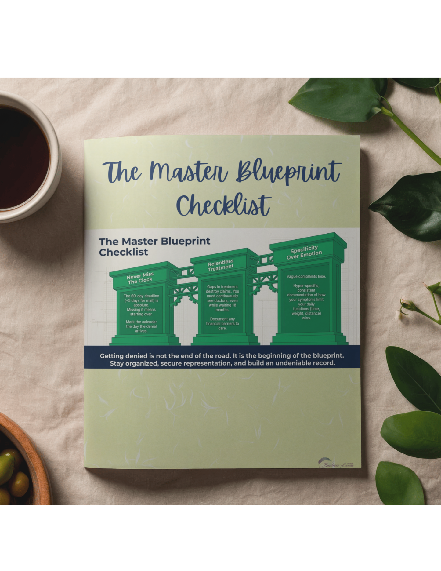 Mastering the Disability Appeals Blueprint Study Guide